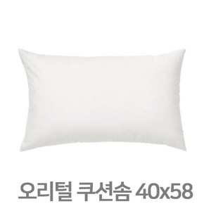 이케아 오리털 쿠션솜 40x65 쿠션패드 오리털쿠션솜