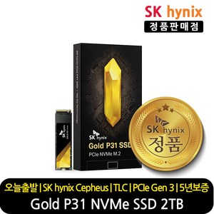 SK하이닉스 GOLD P31 NVMe SSD, HFS2T0GDF9X1072, 2TB