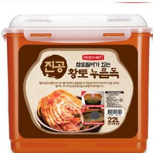 로이첸 참숯 진공 누름독, 22L, 1개