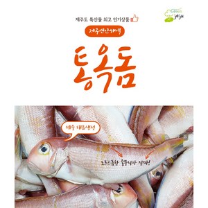 제주직송 옥돔 통옥돔 제주옥돔 2팩 3팩 4팩 5팩, 5팩(10마리), 1개