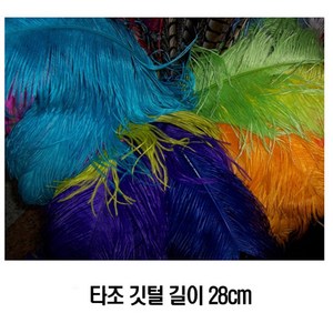 타조깃털/타조털/인테리어 장식 소품/길이28cm, 흰색(1개), 1개