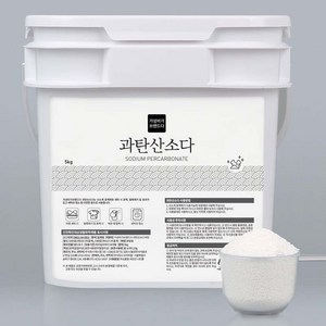 가성비가브랜드다 과탄산소다 산소계 표백제 대용량 버킷+계량스푼, 1개, 5kg