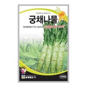 주주씨앗 궁채 씨앗 줄기 상추 씨앗 celtuce seeds 1000립 / 뚱채 씨 궁채나물 이색 채소 종자, 17.궁채나물(줄기)상추, 1개