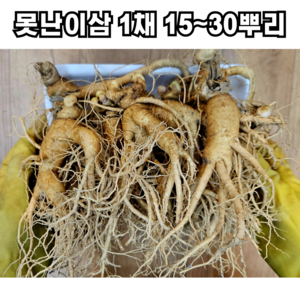 풍기인삼 못난이 막삼 1채 15~30뿌리, 1개, 750g