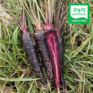 [산지직송] 해남 무농약 친환경 자색당근 세척 못난이 주스용, 1개, 1kg(세척 못난이)