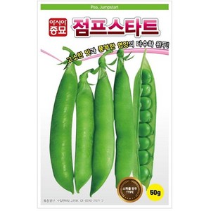 아시아종묘 씨앗 콩 점프스타트 50g 완두콩, 완두콩씨앗 50g, 1개