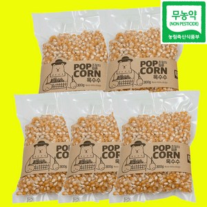 강원도 국내산 100% 무농약 Non GMO 팝콘용옥수수 1.5kg, 5개, 300g