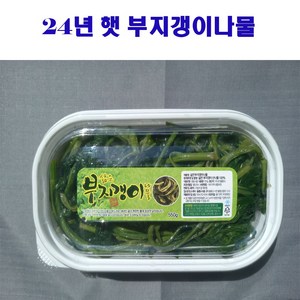 울릉도 삶은 부지갱이 나물 500g, 1개