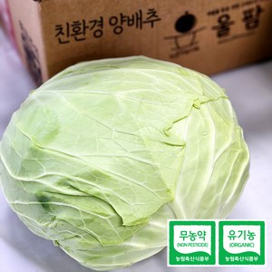 [울팜] 아삭 달달 국내산 친환경 양배추 무농약 유기농 제주 무안 밀양, 1박스, 1kg