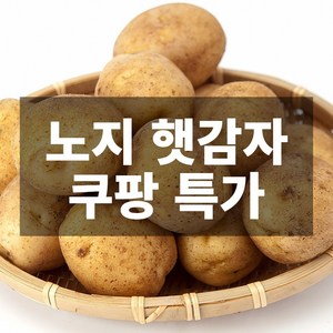 나만의건강by설리마켓 산지직송 국내산 노지 햇감자 5kg 10kg, 1박스, 10kg(대형)