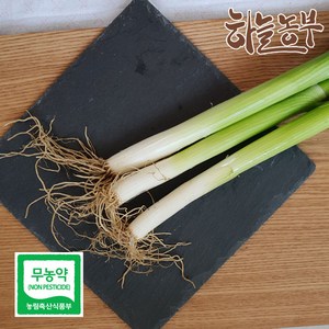 하늘농부 친환경 대파 300g 500g 1kg, 1개