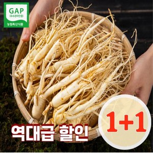 [1+1] 1키로 금산 인삼 5~6년근 가정용 못난이 난발삼 원수삼 파삼 막삼, (추가할인)세척/못난이난발삼1000g+1000g, 1개, 2kg