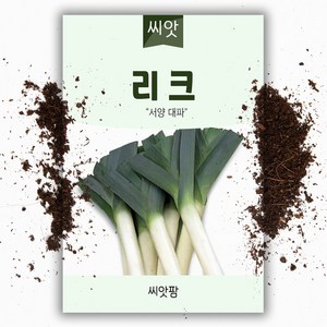 리크 LEEK (4g) 서양대파 리이크 씨앗, 1개