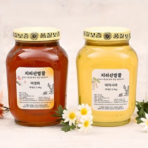 [엄지척농산물] 아카시아 벌꿀(사양) 2.4kg, 1개