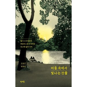 어둠 속에서 빛나는 것들:월가 시각장애인 애널리스트가 전하는 견고한 삶의 가치 | 신순규 에세이, 판미동