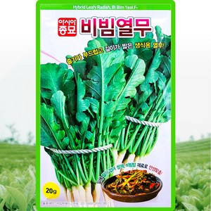 아시아종묘 비빔열무 씨앗 20g, 1개