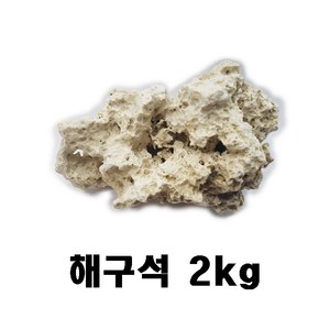 해구석 2kg / 수족관 어항 수조 장식 수석 어항 돌, 1개