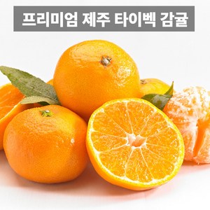 나만의건강by설리마켓 고당도 프리미엄 제주 조생 타이벡 감귤, 1박스, 프리미엄 5kg 로얄과