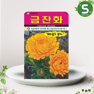 솔림텃밭몰 금잔화씨앗 70립 꽃씨앗 메리골드 약용 식용 관상, 1개