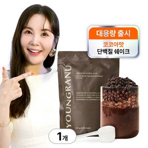 영라뉴 프로틴 핏 쉐이크 대용량 장영란 단백질 코코아 영란뉴, 630g, 1개