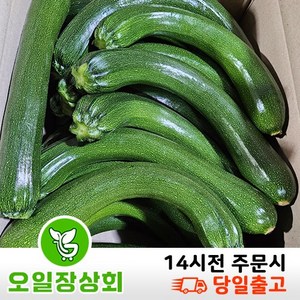 < 오일장상회 > 국내산 쥬키니호박 주키니호박 못난이호박 상등급 3kg 5kg 10kg내외, 1개, 상품5kg내외