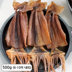 삼천포 건조 쫄쫄이 오징어 마른오징어, 1개, 500g