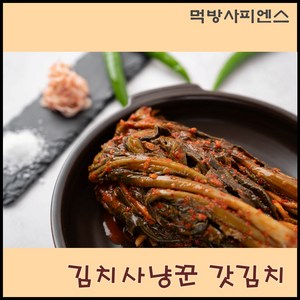 먹방사피엔스 김치에 목숨거는 김치사냥꾼 국내산 갓김치, 1개, 1kg