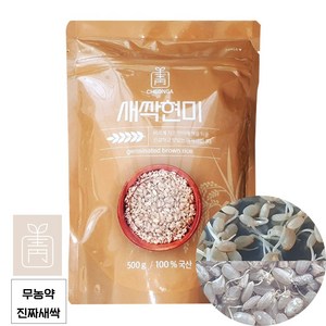 청아 씻어나온 새싹발아현미 무농약 발아현미, 1개, 1kg