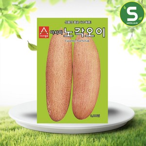 솔림텃밭몰 노각오이씨앗 50립 노각오이 오이씨앗 다수확종, 1개