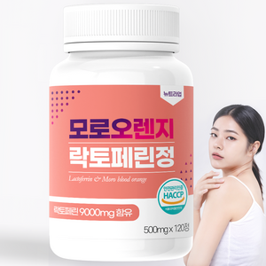 락토페린 9000mg 대용량 식약처 HACCP 인증 뉴트라업, 120정, 1개