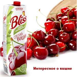 체리 쥬스 블리스 1.0L BLISS CHERRY JUICE 1.0L, 1개, 1L