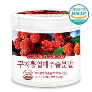 푸른들판 국산 꾸지뽕 열매 분말, 1개, 160g