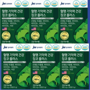 JW중외제약 징코플러스 식약처 인증, 30정, 6개