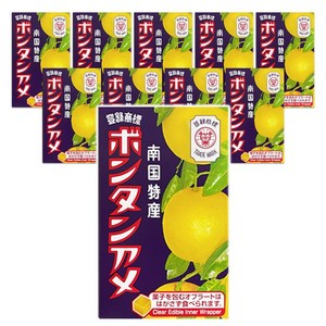 세이카 본탄 아메 10알입, 45g, 10개