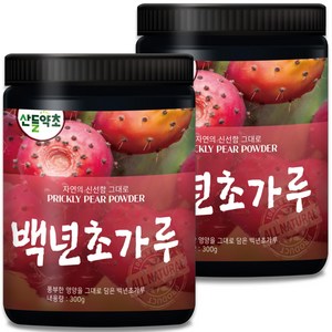 국내산 제주산 백년초 가루 300g 백년초열매차 백년초분말, 2개