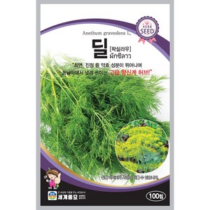 [모종심는아빠] 마음을 진정 시켜주는 고급 향신료 딜 팍실라우 허브종자 100립, 1개