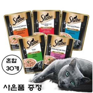 쉬바 고양이 주식파우치 5종 6개씩 30개 / 골드스푼 증정품 행사, 70g