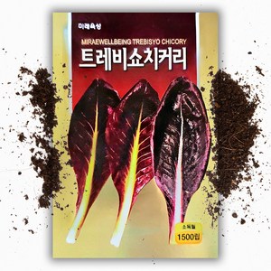 트레비소씨앗 (1500립) 치콘/치커리/채소, 1개