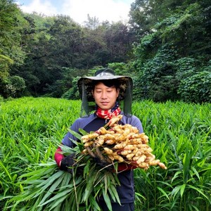 생강 햇생강 깐생강 세척 흙생강 24년 국산 1kg [원산지:국산(경상북도 영주시)], 1개, 세척생강(특품)+1kg