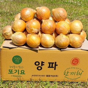 양파 10kg 국산양파(중) 산지직송 식당 급식 실속형 대용량 업소용 양파, 1개