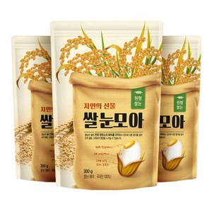 현대농산 국산 쌀눈 900g (300gx3봉), 3개