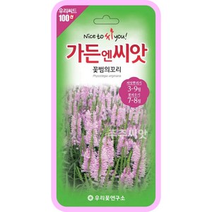 꽃범의꼬리 씨앗 꽃씨 50립 / 다년생 꽃씨 피소스테기아 Physostegia, 1개