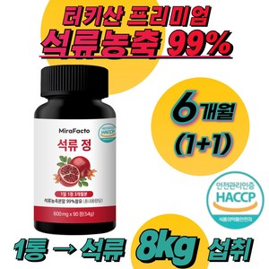 미라팩토 석류 농축 99% 석류정, 2개, 90정