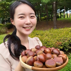 공자매 농축수산 햇알밤 옥광밤 공주정안알밤, 2kg, 1박스, 알밤(특대)