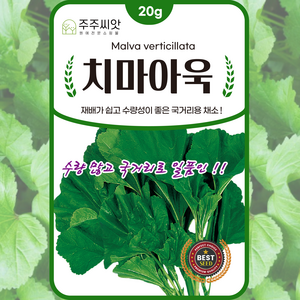 아욱씨앗 20g 치마아욱 종자 씨 채소씨앗, 1개