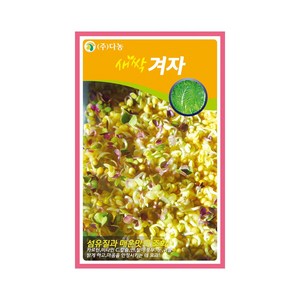 (DN) 새싹 겨자 씨앗(30g), 1개