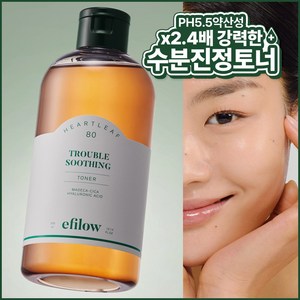 에필로우 어성초 80 시카 히알루로닉 트러블 수딩 약산성 비건 토너 300ml, 2개