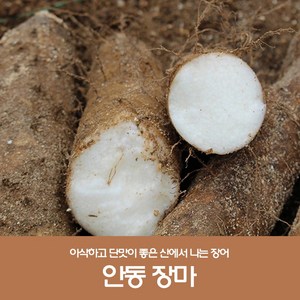 산지직송 안동마 햇마 안동장마 마 생마 장마 5kg, 1세트, 5kg(알뜰)