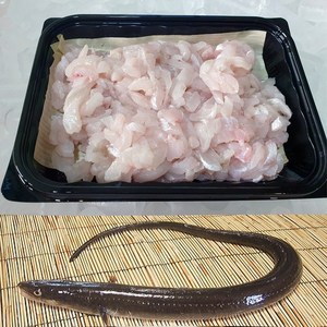 순살 아나고회 자연산 붕장어회 1kg(활어기준), 1세트