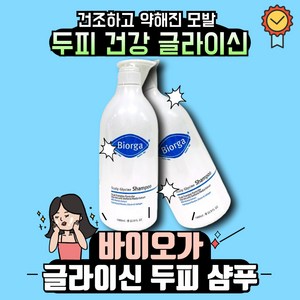 바이오가 두피 글라이신 샴푸 1000ml +사은품증정, 1개, 1L